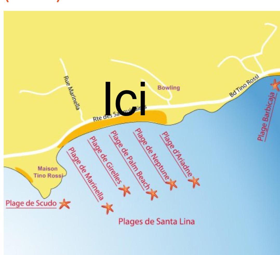 Superbe Pieds Dans L Eau Ajaccio Face A La Mer Plage De Sable Fin Route Des Iles Des Sanguinaires Eksteriør billede